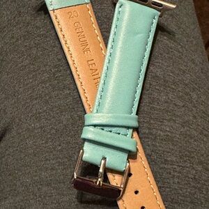 Teal Apple Watch Band